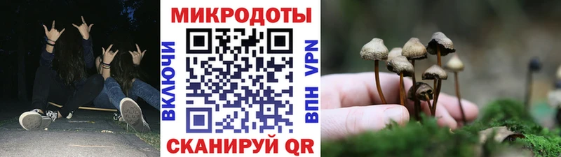 Галлюциногенные грибы MAGIC MUSHROOMS  Нязепетровск 